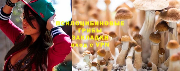 mdpv Печоры