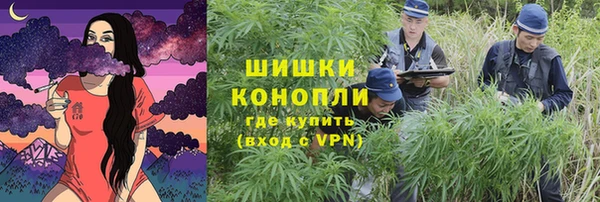 спайс Баксан