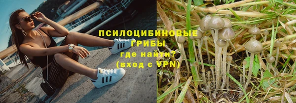 экстази Арсеньев
