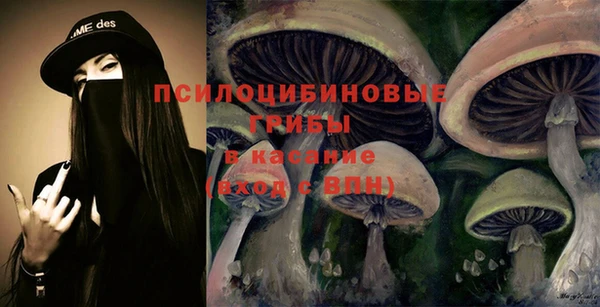 экстази Арсеньев