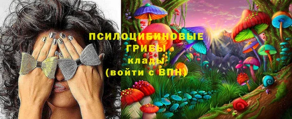 экстази Арсеньев