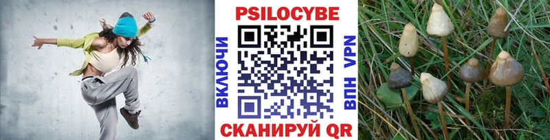 где можно купить   Северодвинск  Псилоцибиновые грибы прущие грибы 