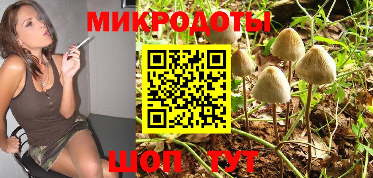 Галлюциногенные грибы MAGIC MUSHROOMS  Псилоцибиновые грибы мицелий  Северодвинск  Вход с VPN 