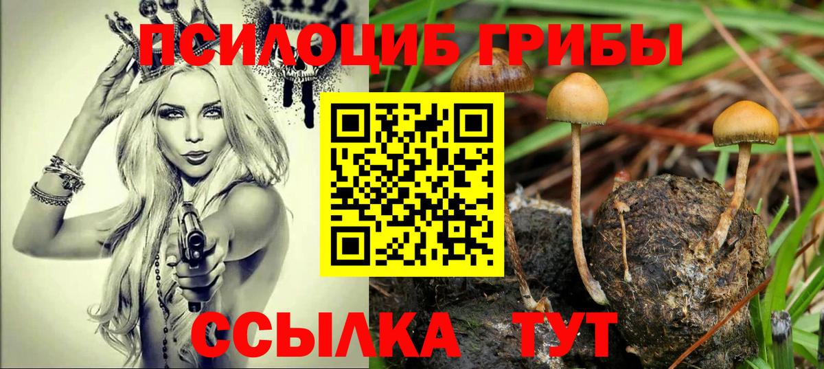 Псилоцибиновые грибы MAGIC MUSHROOMS Северодвинск